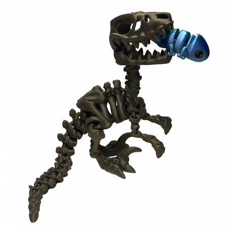 Jucării - Jucărie Flexibilă, Schelet Raptor cu mini-Ziglut, Dinozauri, Metalic, 25 cm