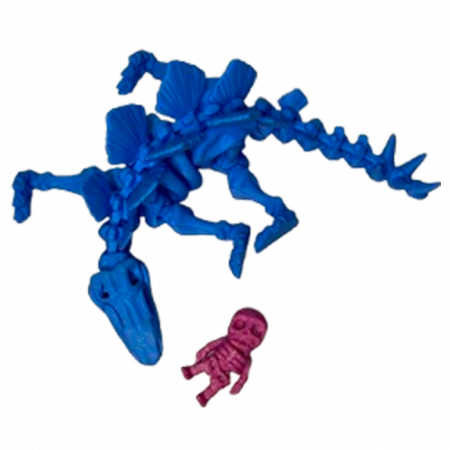 Jucărie Flexibilă, Schelet Stegozaur cu mini-Ziglut, Dinozauri, Albastru, 25 cm [4]
