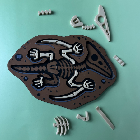 Puzzle 3D - Puzzle Fosilă Pterodactil - Joc Educativ și Senzorial