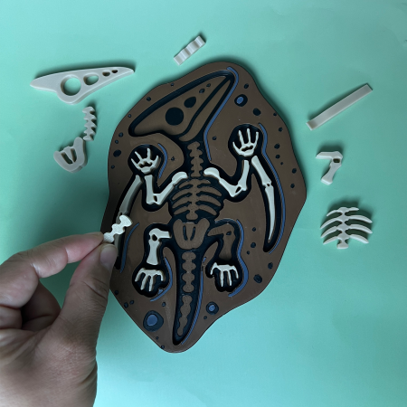 Puzzle Fosilă Pterodactil - Joc Educativ și Senzorial [1]