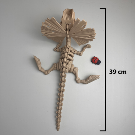 Schelet MARE Dilophosaurus cu mini-Ziglut, 39 cm [1]
