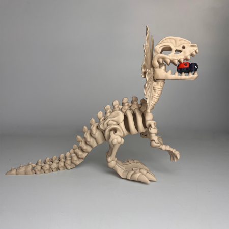 DINOZAURI MARI - Schelet MARE Dilophosaurus cu mini-Ziglut, 39 cm