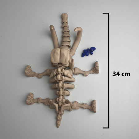 Schelet MARE Mamut cu mini-Ziglut, 34 cm [1]