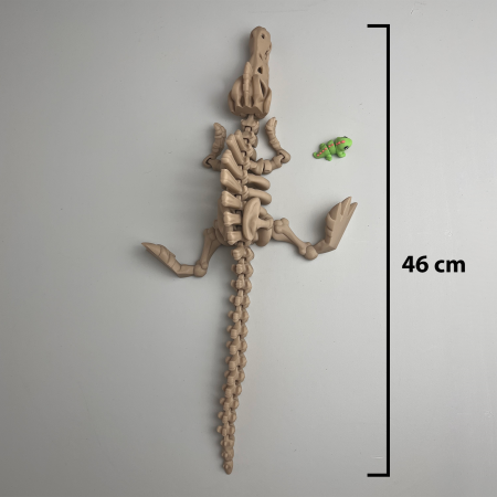 Schelet MARE Spinozaur cu mini-Ziglut, 46 cm [1]