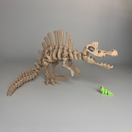 DINOZAURI MARI - Schelet MARE Spinozaur cu mini-Ziglut, 46 cm