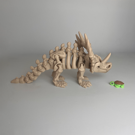 Schelet MARE Styracosaurus / Triceratops cu mini-Ziglut, 36 cm [3]