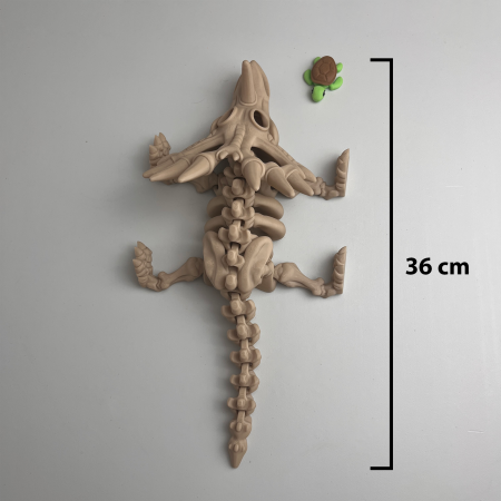 Schelet MARE Styracosaurus / Triceratops cu mini-Ziglut, 36 cm [1]