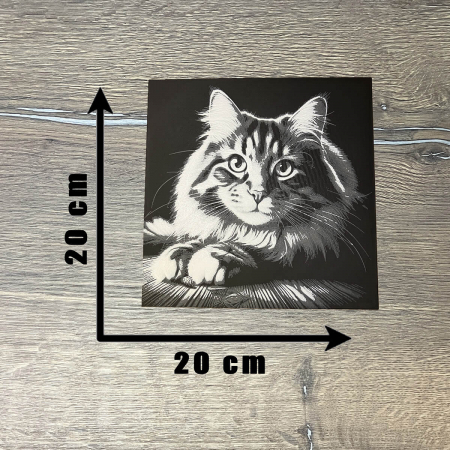 Tablou 3D Pisica HueForge - Decor Animalut pentru Sufragerie | Imprimare 3D Realistă | Cadou Iubitori de Pisici (20x20 cm) [2]