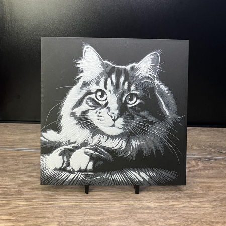 Tablouri 3D - Tablou 3D Pisica HueForge - Decor Animalut pentru Sufragerie | Imprimare 3D Realistă | Cadou Iubitori de Pisici (20x20 cm)