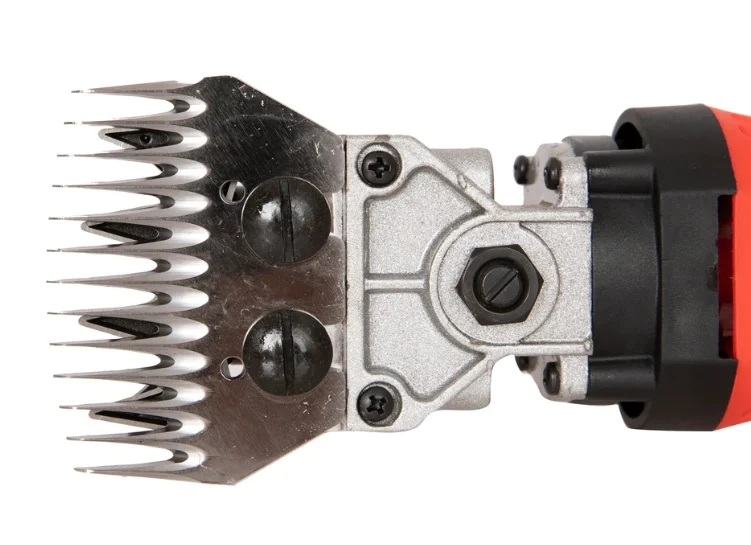 4000W Masina electrica de tuns oi CAMPION , 6 Viteze CAINI SAU ANIMALE DE TALIE MARE [4]