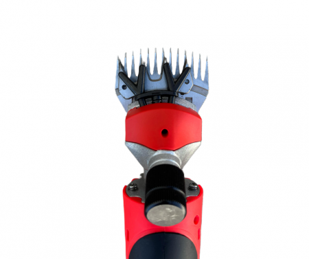 1000W Masina de tuns oi pe acumulator CAMPION 48V, 2 acumulatori, accesorii incluse, CAINI SAU ANIMALE MARI [5]