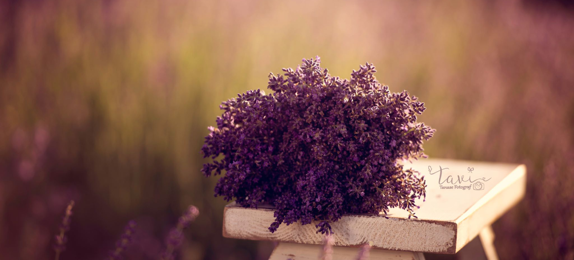 banner4