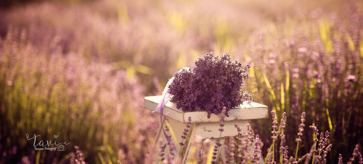 Banner3