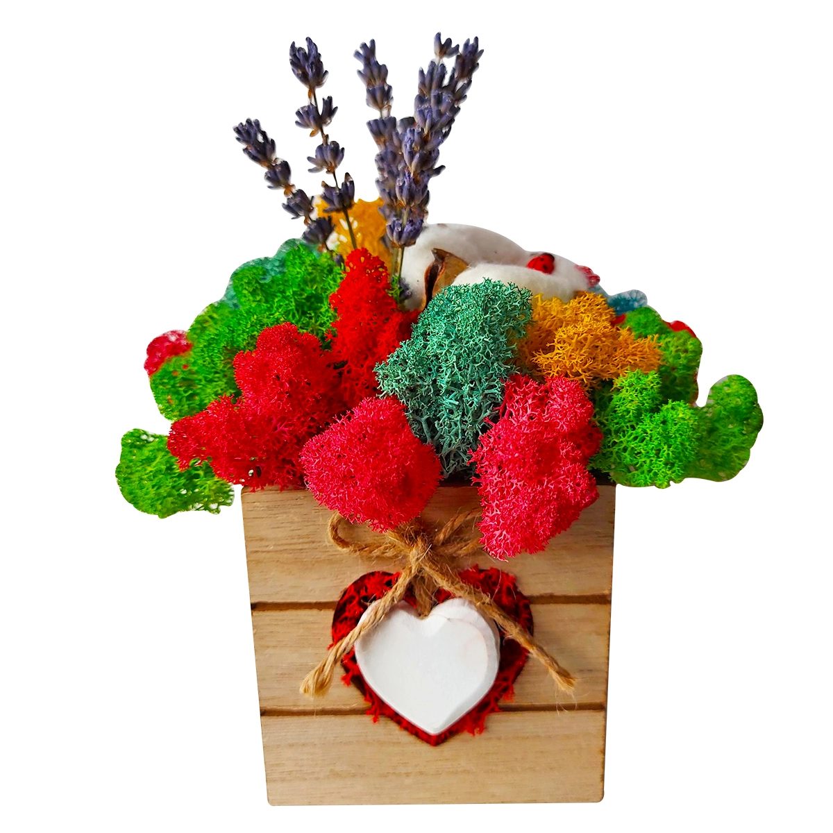 Aranjament cadou cu licheni si flori uscate Buchet Multicolor, 12×15 cm [1]