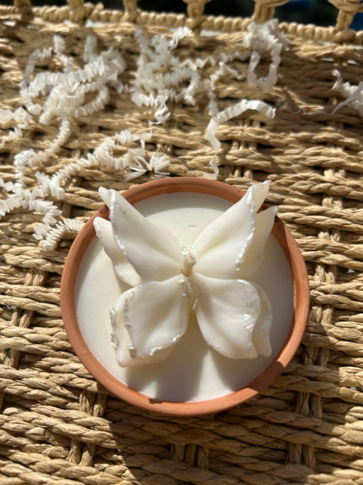 Fluture în vas ceramic | Lumânări parfumate | Mărturii [2]