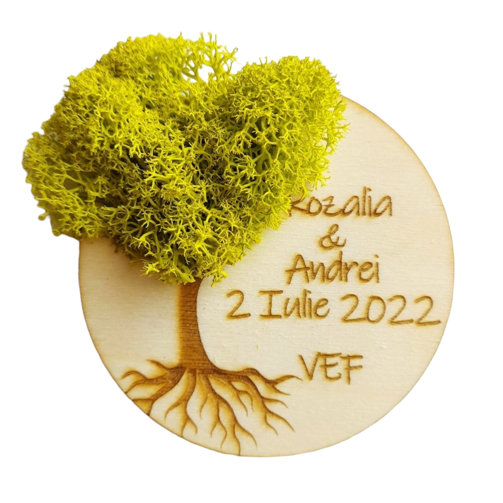 Marturie nunta/botez COPACUL VIETII, verde, cu licheni stabilizati, diam. 8 cm [1]