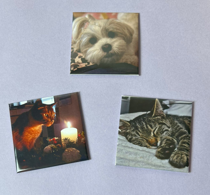 Set 12 magneți personalizați [2]