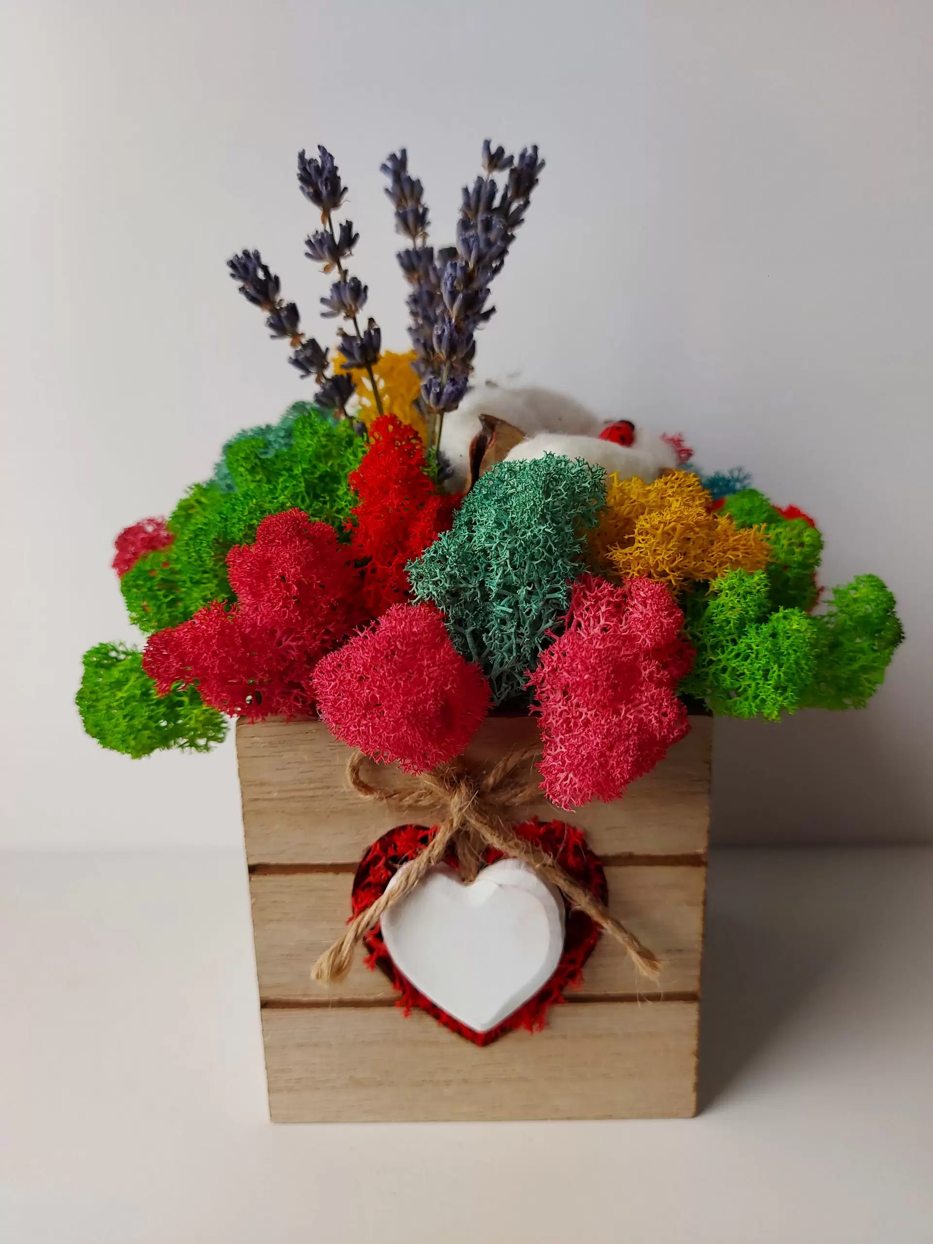 Aranjament cadou cu licheni si flori uscate Buchet Multicolor, 12×15 cm [1]