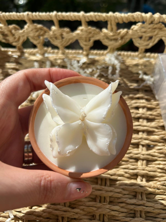 Fluture în vas ceramic | Lumânări parfumate | Mărturii [2]