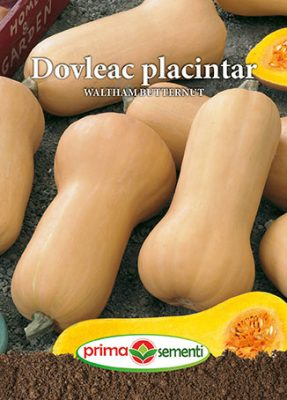 Semințe Dovleac Plăcintar Waltham Butternut, 5 g [1]
