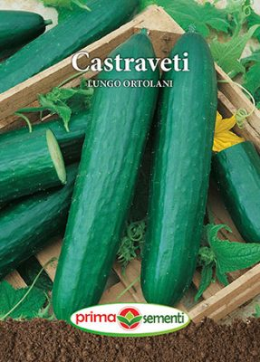 Semințe Castraveți Lungo Ortolani, 4 g [1]