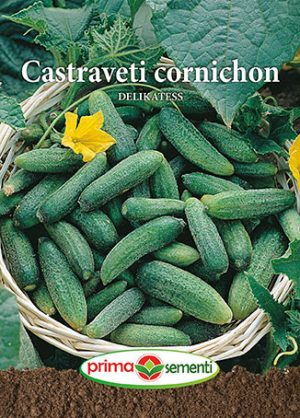 Semințe Castreveți Cornichon Delikatess, 4 g [1]