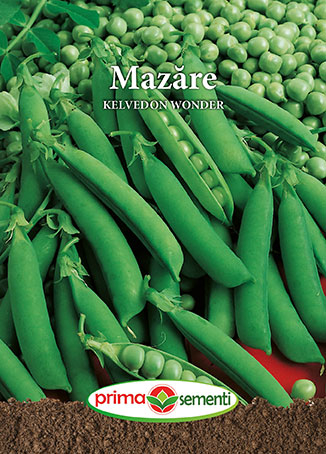 Semințe Mazăre Kelvedon Wonder, 20 g [1]