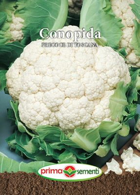 Semințe Conopidă Precoce Di Toscana, 1 g [1]
