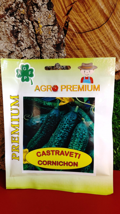 Seminte Castraveti Cornichon Piccolo Verde Di Parigi, 25g [1]