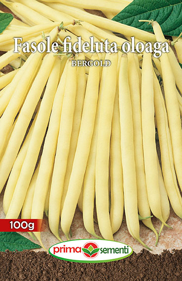 Semințe Fasole Fideluță Oloagă Bergold 100 g [1]