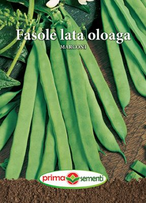 Semințe Fasole Lată Oloagă Marconi 100 g [1]