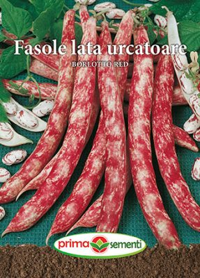 Semințe Fasole Lată Urcătoare Borlotto Red [1]