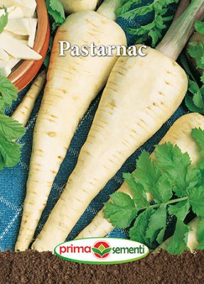 Semințe Păstârnac, 6 g [1]