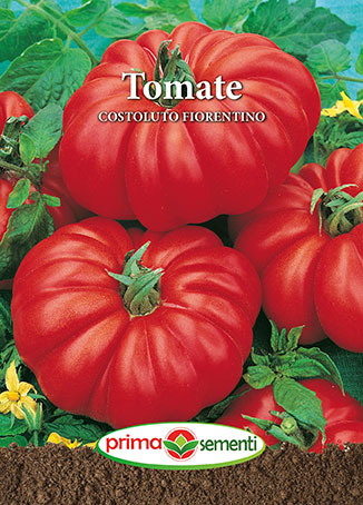 Semințe Tomate Costoluto Fiorentino, 1 g [1]