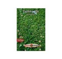 Semințe Trifoi Alb Nanissimo, 100 g [2]