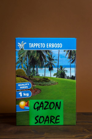 Semințe gazon - Semințe Gazon Soare, 1 kg