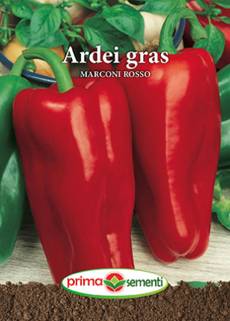 Semințe legume - Semințe Ardei Gras Marconi Rosso, 1 g