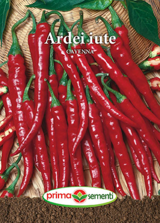 Semințe legume - Semințe Ardei Iute Cayenna, 1 g
