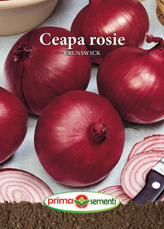 Semințe legume - Semințe Ceapă Roșie Brunswick, 2 g