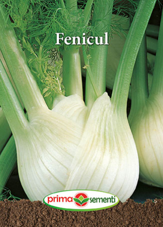 Semințe - Semințe Fenicul, 1,5 g