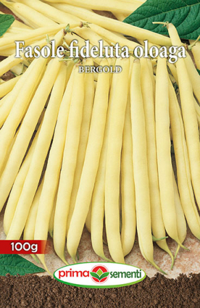 Semințe - Semințe Fasole Fideluță Oloagă Bergold 100 g