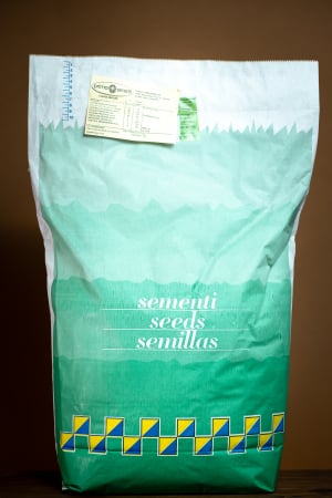 Semințe plante tehnice - Seminte iarba de pasune, 10 Kg