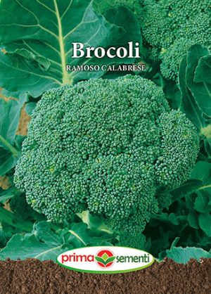 Semințe - Semințe Brocoli Ramoso Calabrese, 1 g