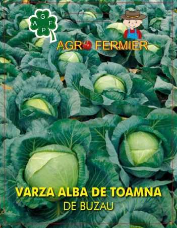 Semințe - Seminte varza de Buzau, 50 g