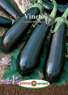 Semințe - Semințe Vinete Violetta Lunga, 2 g