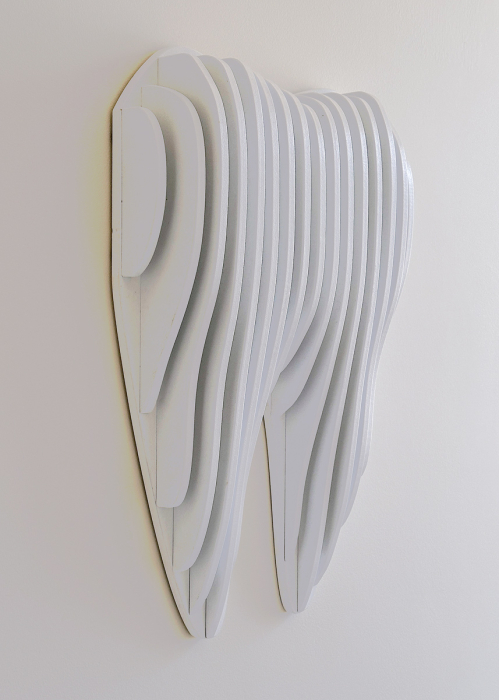 Ornament Dental Icon [2]