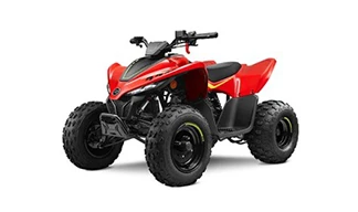 ATV CFMOTO CFORCE 110 FUN