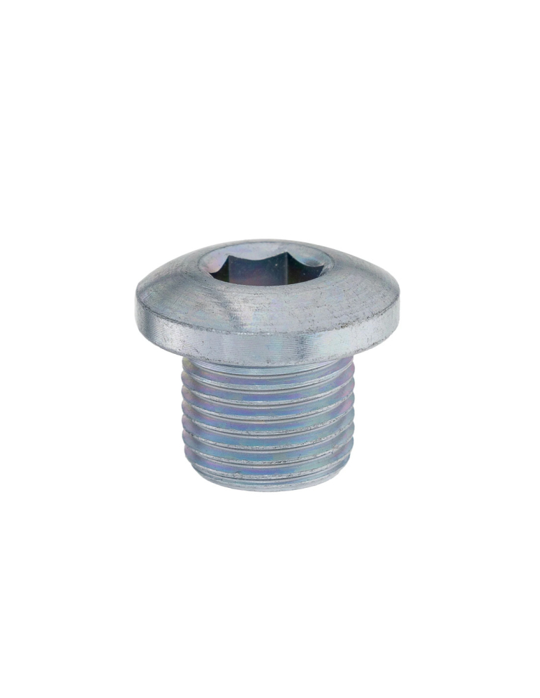 BUSON MAGNETIC SCURGERE ULEI GRUP / DIFERENTIAL CFMOTO (M14X1.25X12) (0180) [2]