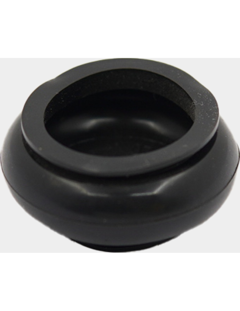 CUPA / BURDUF PIVOT INFERIOR ATV LINHAI [4]