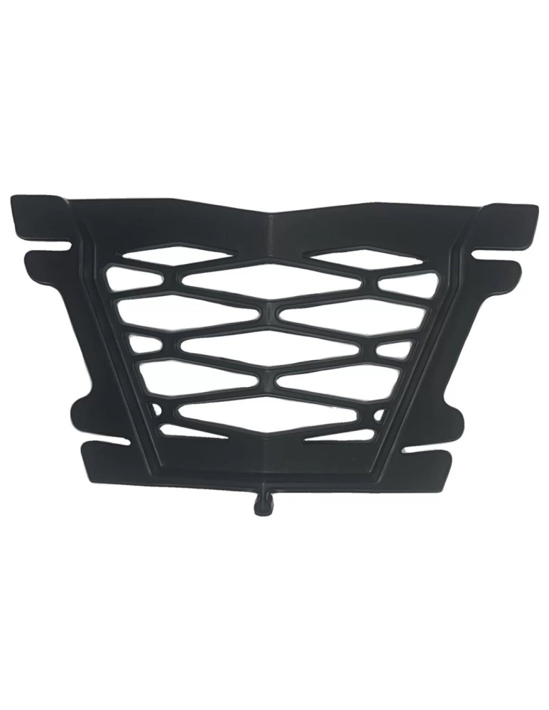 GRILA CENTRALA MASCA FATA RADIATOR [2]